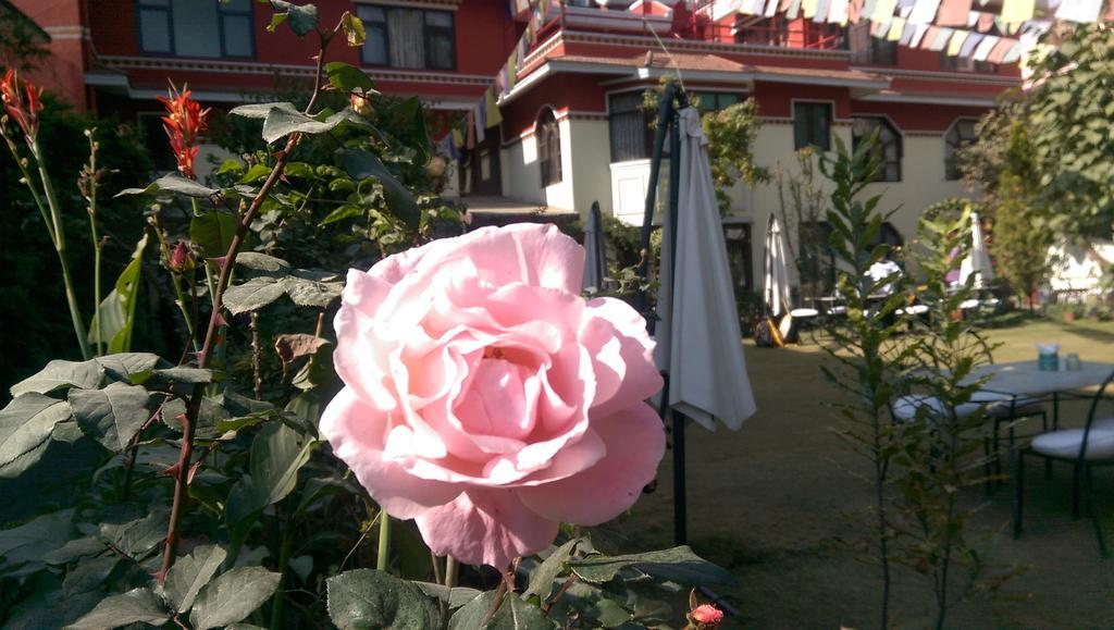Rokpa Guest House Катманду Экстерьер фото
