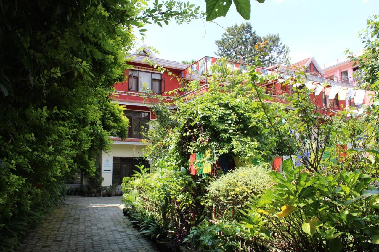 Rokpa Guest House Катманду Экстерьер фото